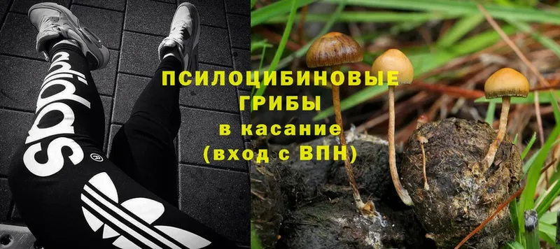 Псилоцибиновые грибы Magic Shrooms  Катав-Ивановск 